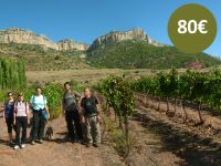 Senderisme entre vinyes al Priorat