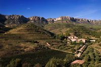 RACONS CARTOIXANS A PEU DE MONTSANT. Amb tast de vi i visita a la Cartoixa opcional.