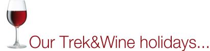 Wine tourism and walking holidays in Priorat