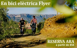 Excursions bicicleta elèctrica Flyer Catalunya