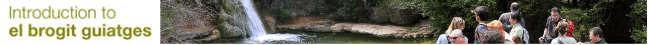 tl_files/BrogitGuiatges/web/t_presentacio_brogit_en.gif