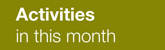 Activities present month
