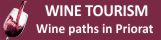 Wine tourism and hiking trails in Priorat